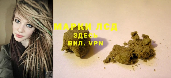 крисы Надым