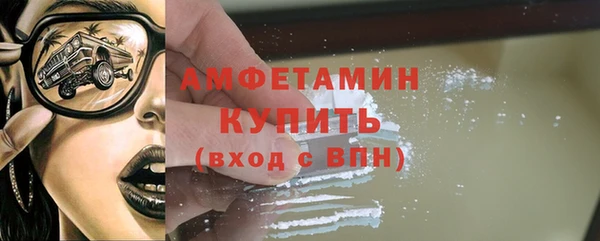 прущие грибы Вязники