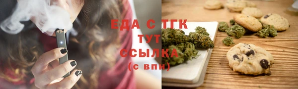 крисы Надым