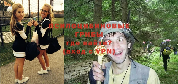 крисы Надым