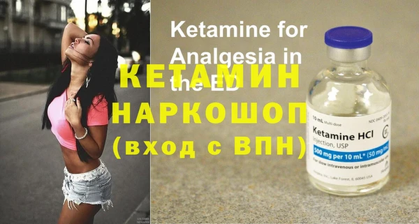 крисы Надым