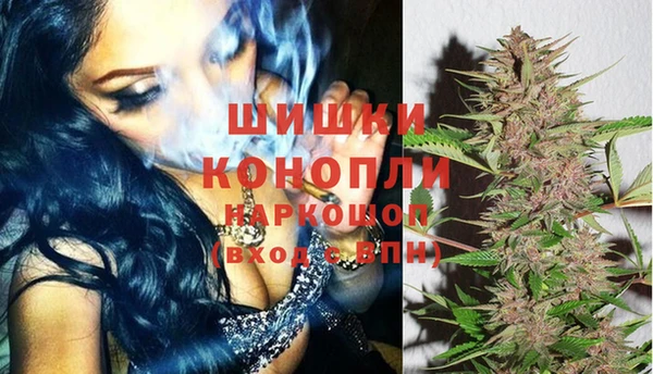 крисы Надым