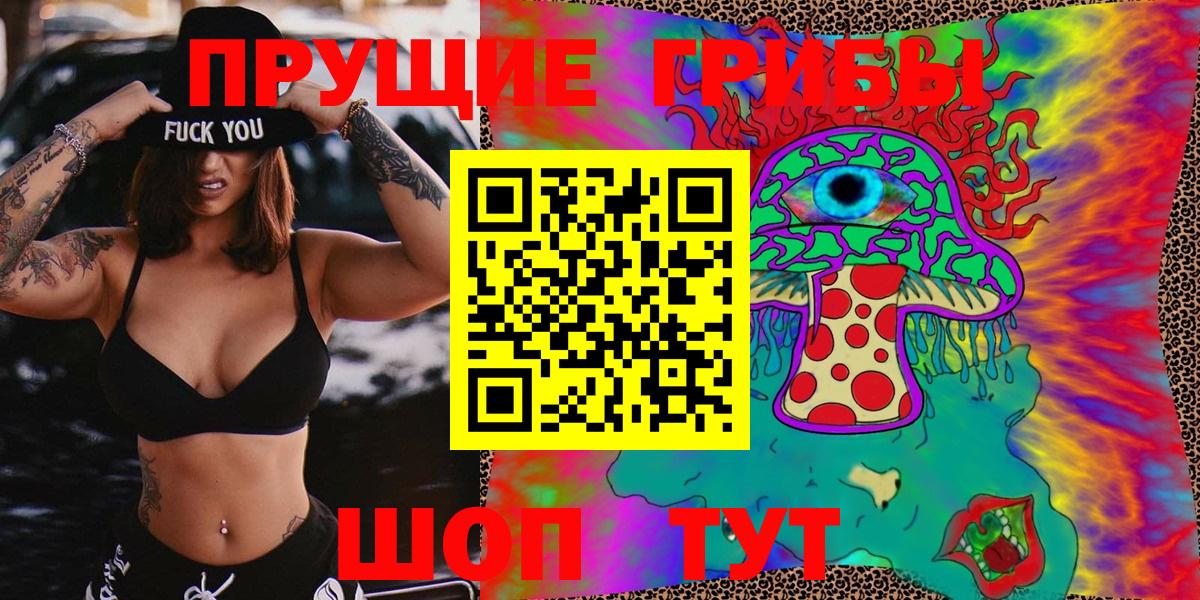 Галлюциногенные грибы GOLDEN TEACHER  Псилоцибиновые грибы Psilocybine cubensis  купить наркоту  Петровск 