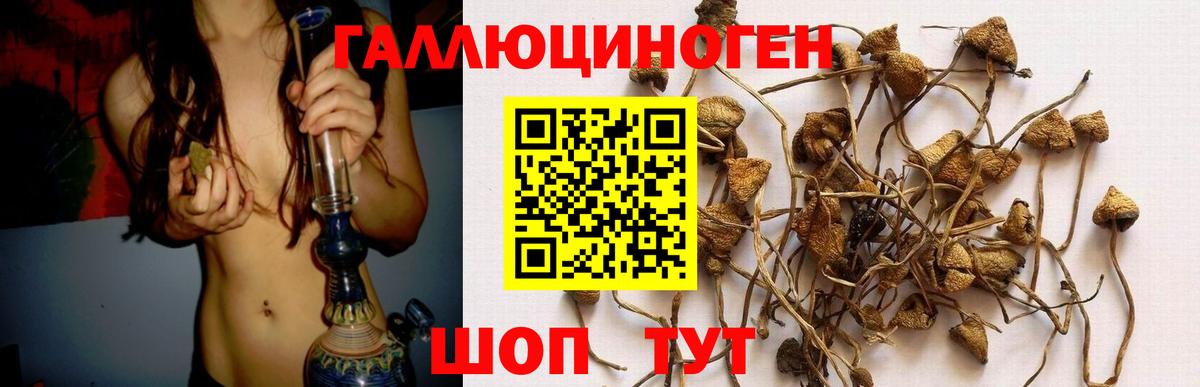 Галлюциногенные грибы мухоморы Петровск